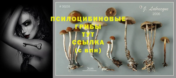 стафф Фёдоровский